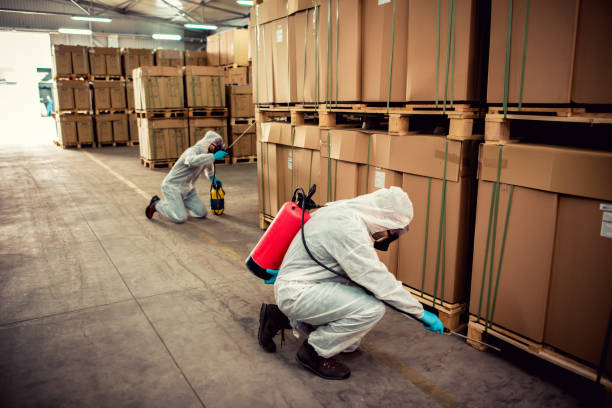 Best Ant Control Services  in Aptos, CA
