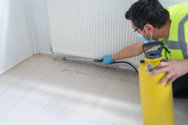 Best Pest Control Near Me in Aptos, CA
