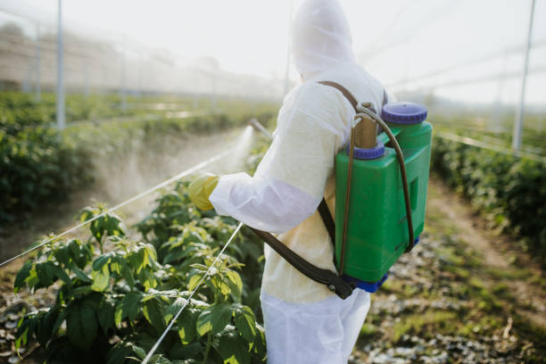 Best Pest Control Near Me  in Aptos, CA